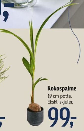 Føtex Ukendt planter tilbud