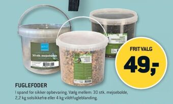 Bird gardenlife mejsebolde