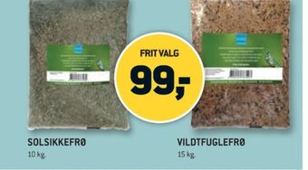 XL-BYG Bird gardenlife solsikkefrø tilbud