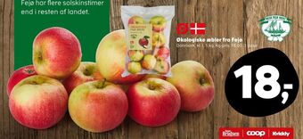 Fejø dansk kernefrugt æbler