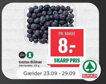 Netto Blåbær 125 g tilbud