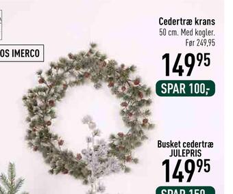 Cedertræ krans