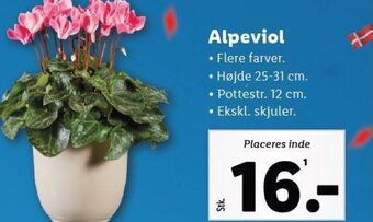 Lidl Alpeviol tilbud