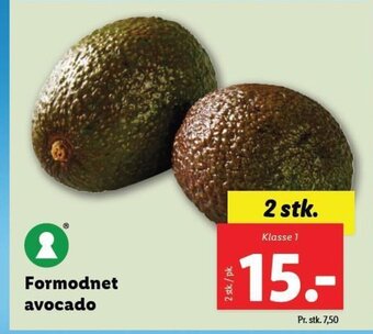 Lidl Formodnet avocado tilbud