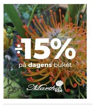 15% på dagens buket