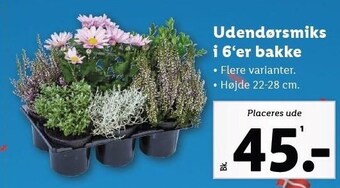 Lidl Udendørsmiks i 6ér bakke tilbud