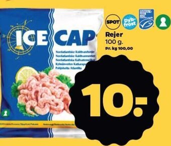 Netto Rejer tilbud