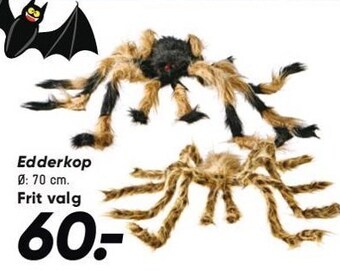 Edderkop