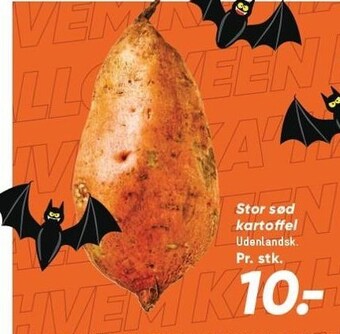 Stor sød kartoffel