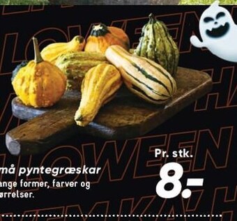 Bilka Små pyntegræskar tilbud