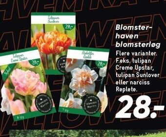 Bilka Blomsterhaven blomsterløg tilbud