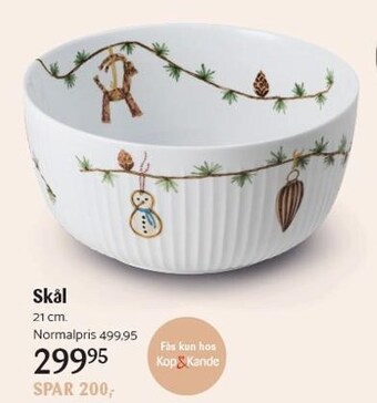 Skål