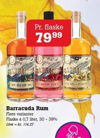 Poetzsch Padborg Barracuda rum tilbud