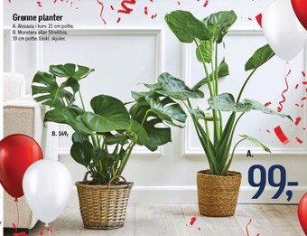 Føtex Grønne planter tilbud
