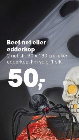 Beed net eller edderkop