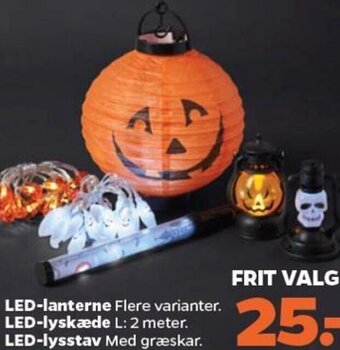 Netto LED-lanterne Flere varianter. LED-lyskæde L: 2 meter. LED-lysstav Med græskar. tilbud