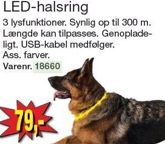 Led-halsring