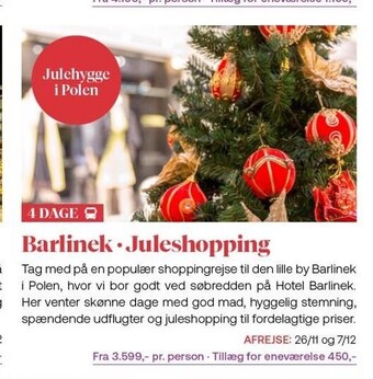 Vitus Rejser Barlinek - juleshopping, 4 dage tilbud