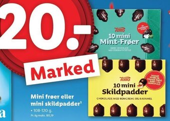 Lidl Mini frøer eller mini skildpadder tilbud