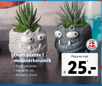 Lidl Grøn plante i monsterkeramik tilbud