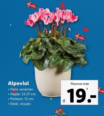 Lidl Alpeviol tilbud