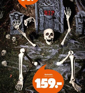 Skeletdele