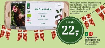 Dagli'Brugsen Änglamark økologiske æg m/l tilbud