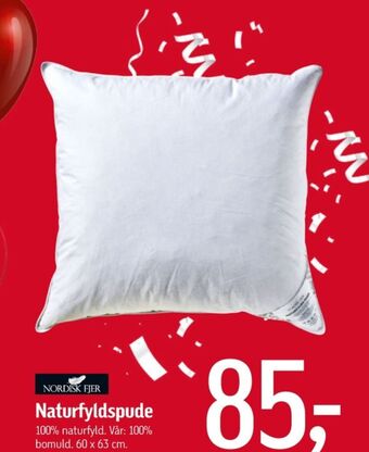 Føtex Nordisk fjer hovedpude tilbud