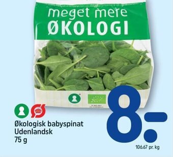 REMA 1000 Økologisk babyspinat Udenlandsk 75 g tilbud