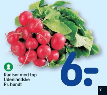 REMA 1000 Radiser med top Udenlandske Pr. bundt tilbud