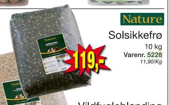 Harald Nyborg Solsikkefrø tilbud