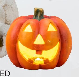 Græskar med led