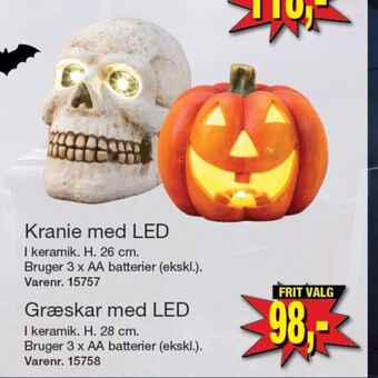Harald Nyborg Ukendt halloween græskar tilbud