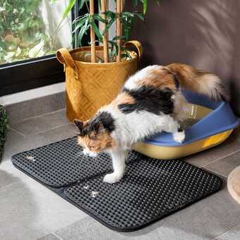Måtte til kattebakke clikatt innovagoods