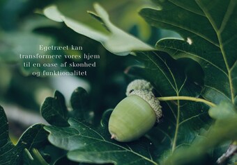 Egetræet kan transformere vores hjem