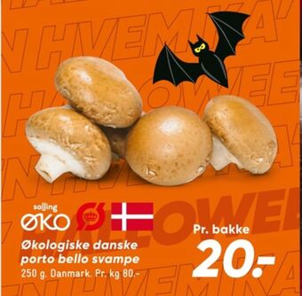 Bilka Salling øko portobello tilbud