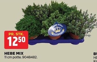 jem & fix Hebe mix tilbud
