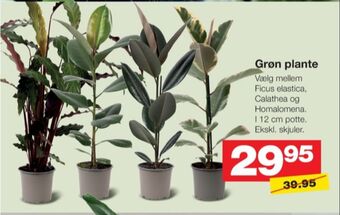 Bauhaus Ukendt planter tilbud
