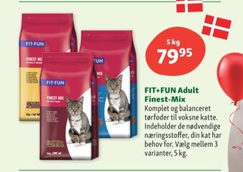 Fit fun kattefoder