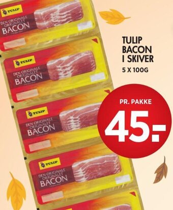 TULIP BACON I SKIVER