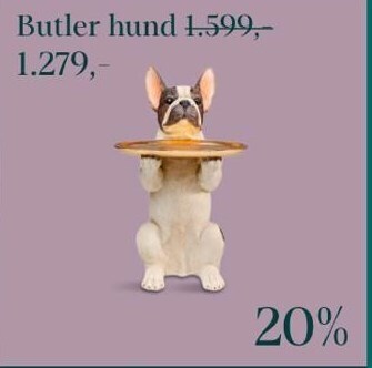 Butler hund