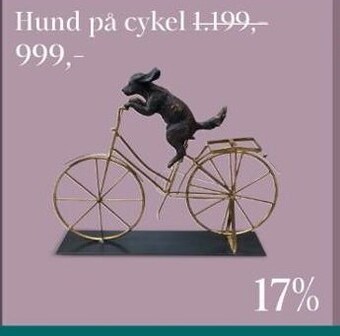 Hund på cykel