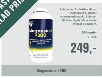 Magnesium +300