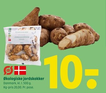 Økologiske jordskokker