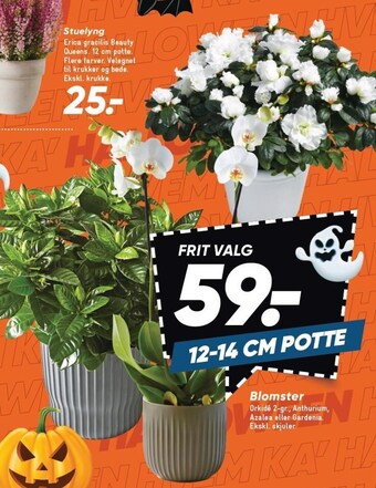 Bilka Blomster tilbud