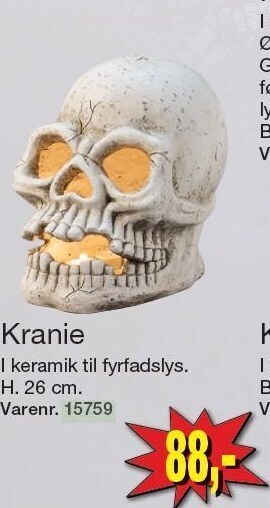 Harald Nyborg Kranie tilbud
