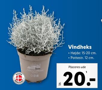 Lidl Vindheks tilbud