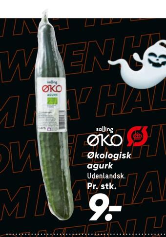 Bilka Økologisk agurk tilbud