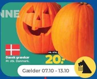 Netto Dansk græskar tilbud