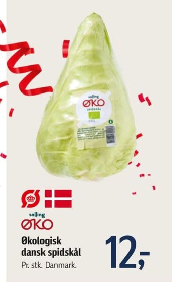 Føtex Salling øko spidskål tilbud